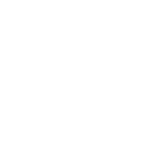 footprinticon